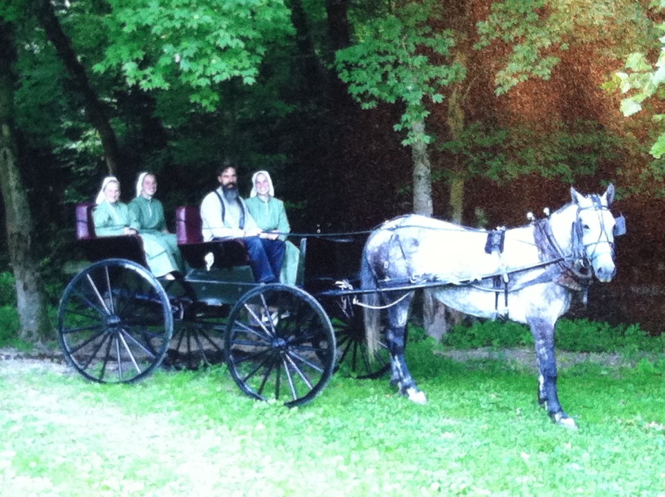 Family in a horse-drawn buggy